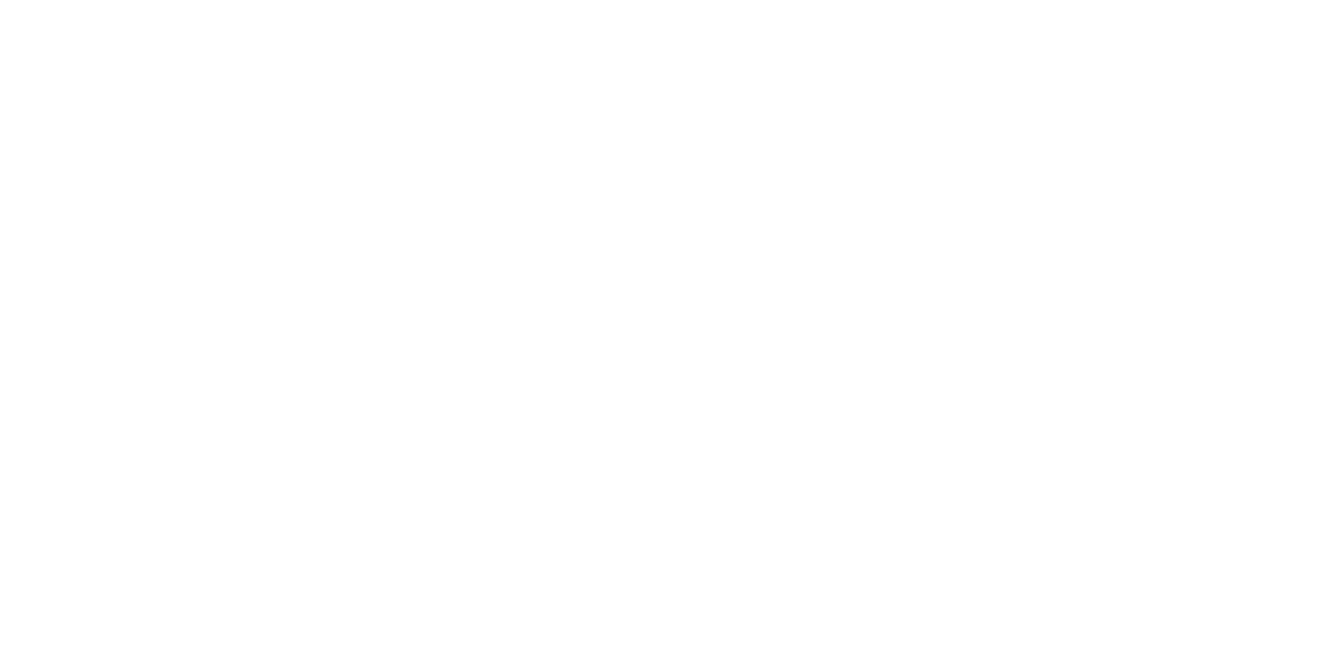 Desarrollo Total Logo